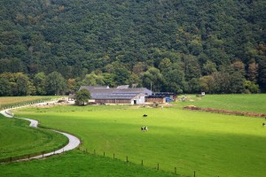 gite-de-lhonneux-esneux-ferme-1