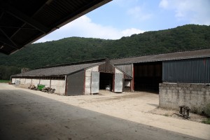 gite-de-lhonneux-ferme-8